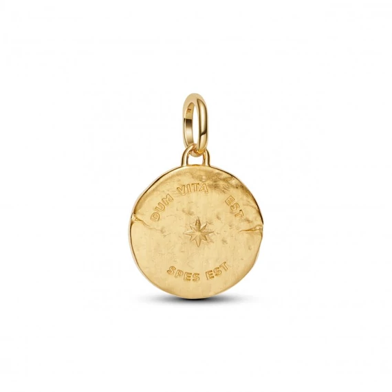 Pandora  - Fecske medál charm - 764082C01